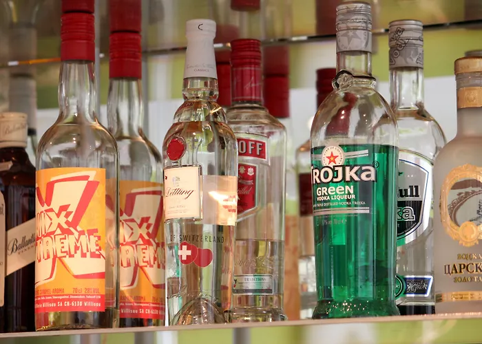 费霍夫酒店 3* 萨斯费