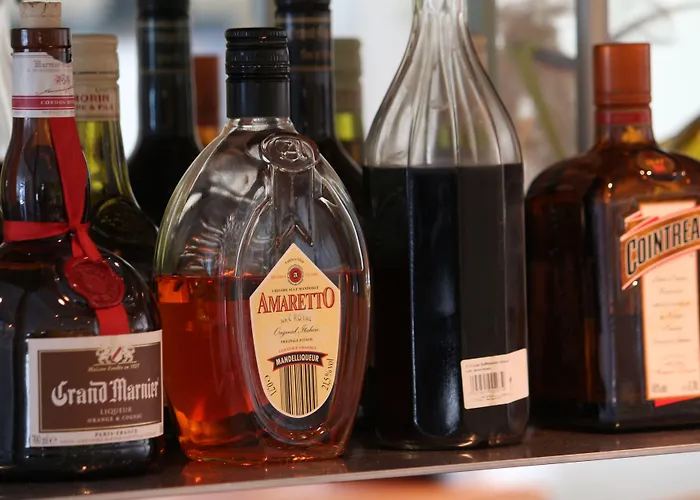 酒店 费霍夫酒店 萨斯费