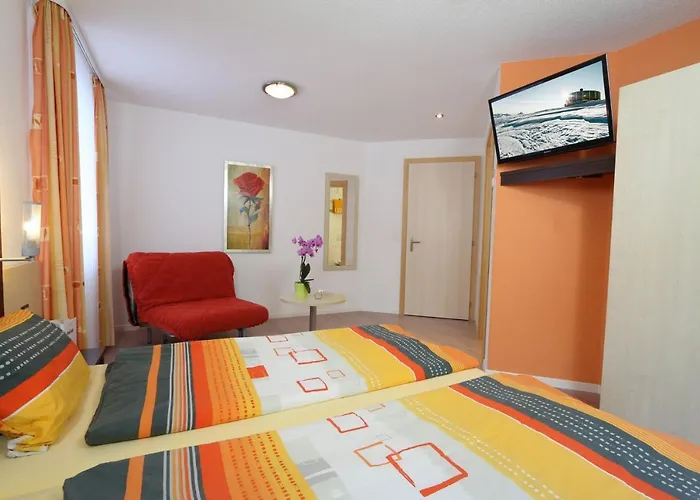 酒店 费霍夫酒店 3*